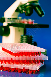干细胞实验室实验室桌上有96个油井板 含有红色液体样品和微缩胶片背景