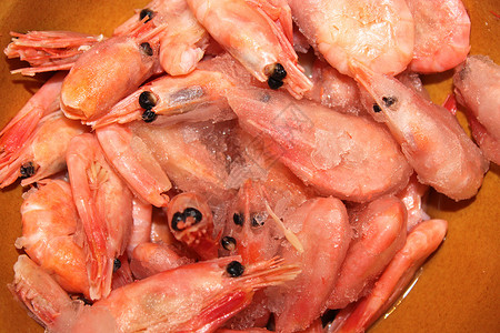 许多冷冻和美味的虾类新鲜的高清图片素材