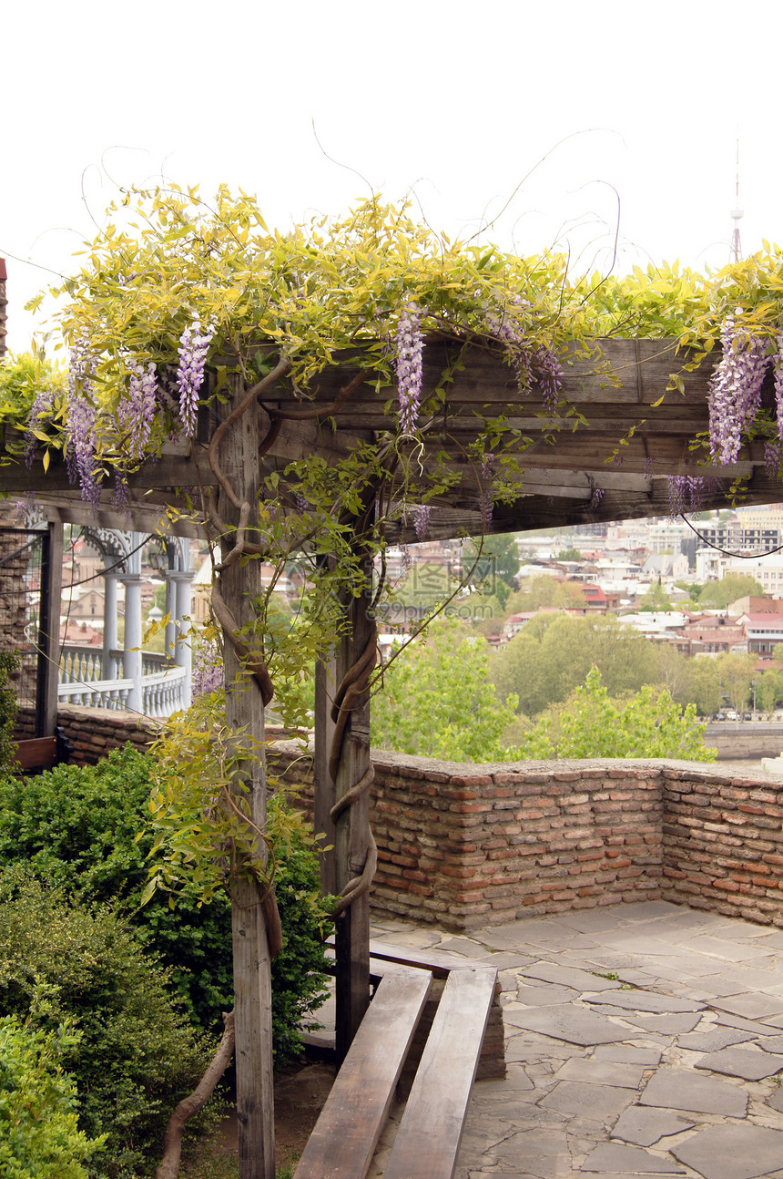 著名的蓝色木制雕刻阳台和最后几格罗吉亚的露台历史植物学叶子建筑物时间花园紫色教会植物宗教图片
