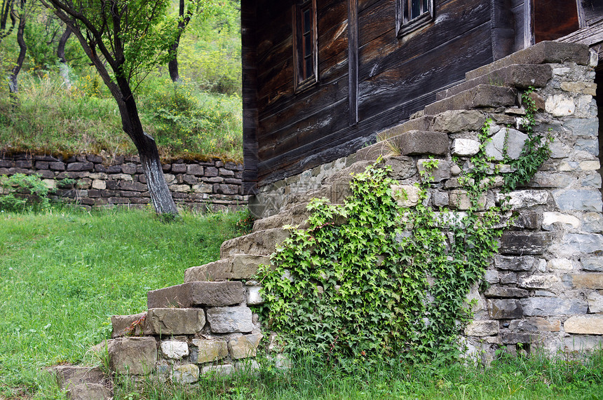 旧的长春藤石建筑学村庄乡村建筑房子楼梯植物图片