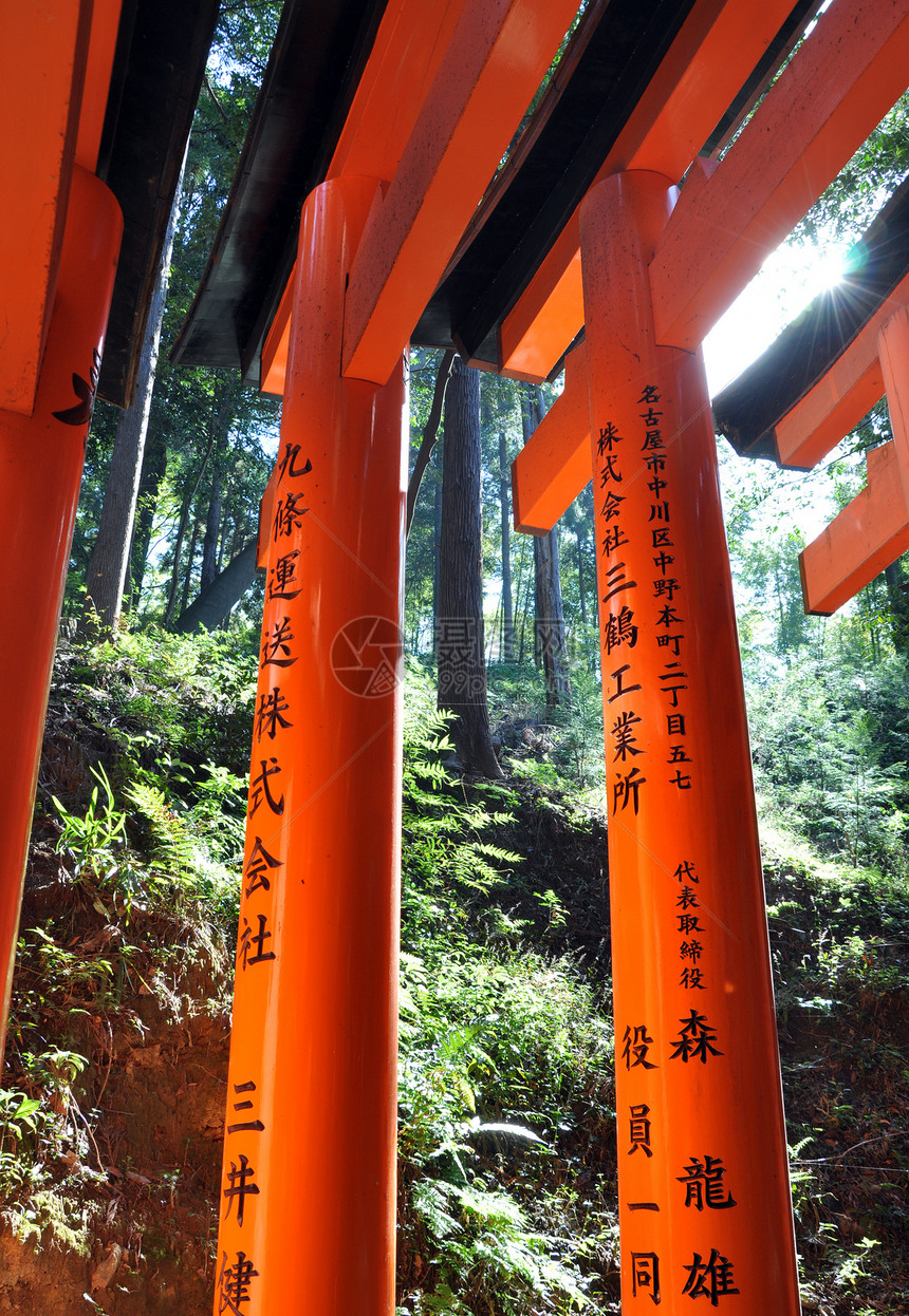 日本京都城市地标神社隧道信仰游客旅游木头橙子灯笼图片