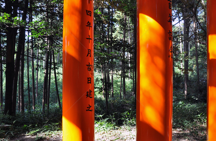 托里城门栏再次重复了神社的自然性质图片