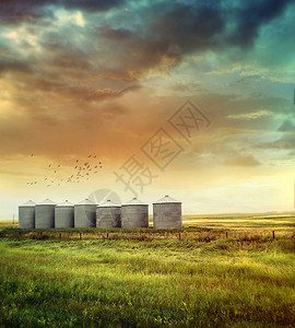 夏末的草原谷仓背景图片
