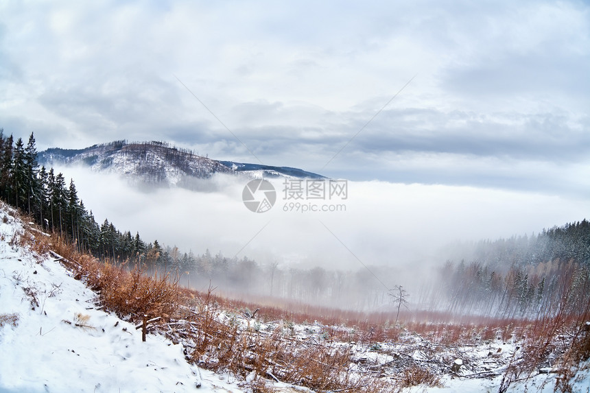 哈兹山的浓雾图片