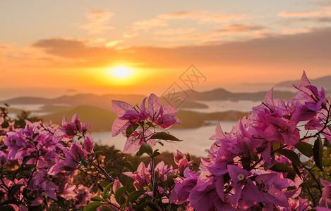 夏洛特阿马利亚圣托马斯的日落花朵港口海岸线全景海岸场景处女支撑岛屿蓝色天堂高清图片素材