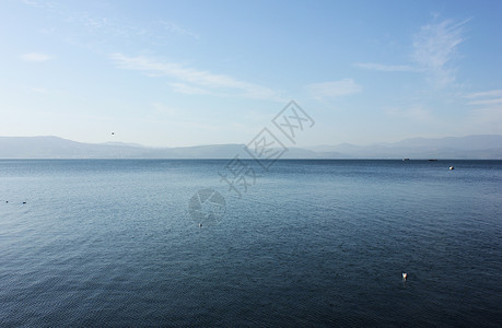 加利利海天空鸟类蓝色背景图片
