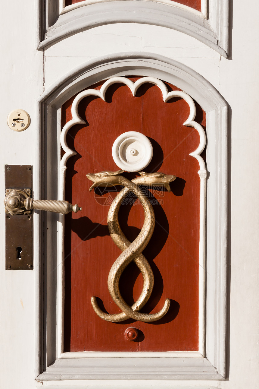 门上装饰着穿越金蛇和铜质的金蛇图片