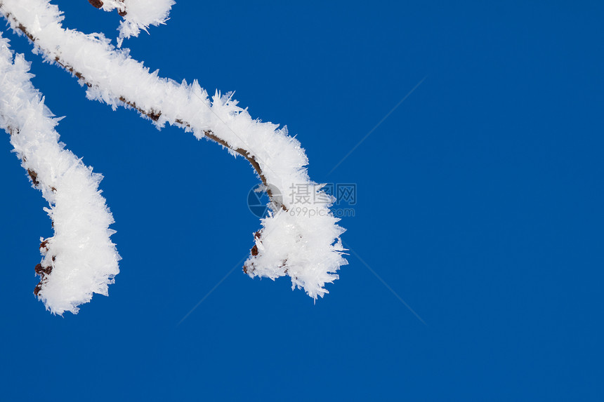 特写寒雪树的枝叶磨砂薄片降雪分支机构窗户蓝色天气冻结水晶季节图片