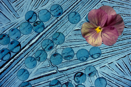 蓝三色堇带粉花的蓝色抽象蓝背景