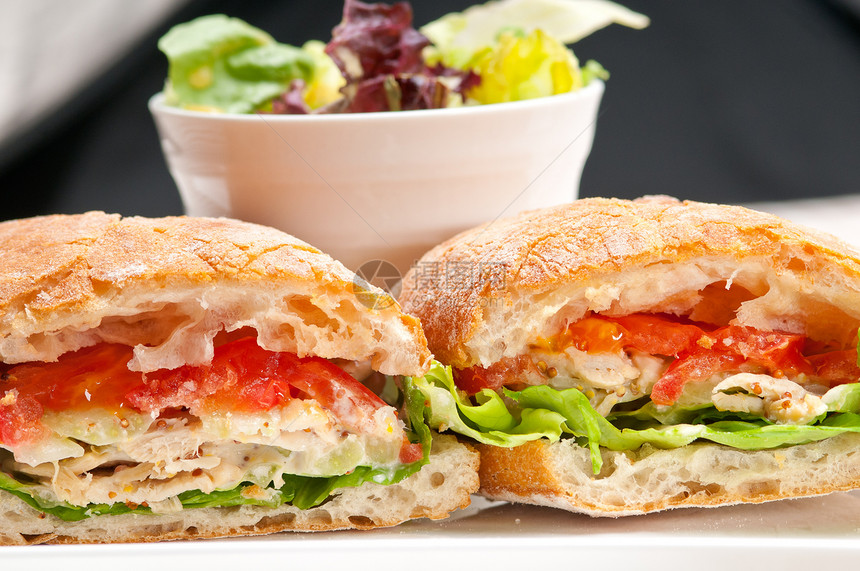 配鸡肉和番茄的意大利三明治野餐食物蔬菜早餐营养午餐工作室包子小吃叶子图片