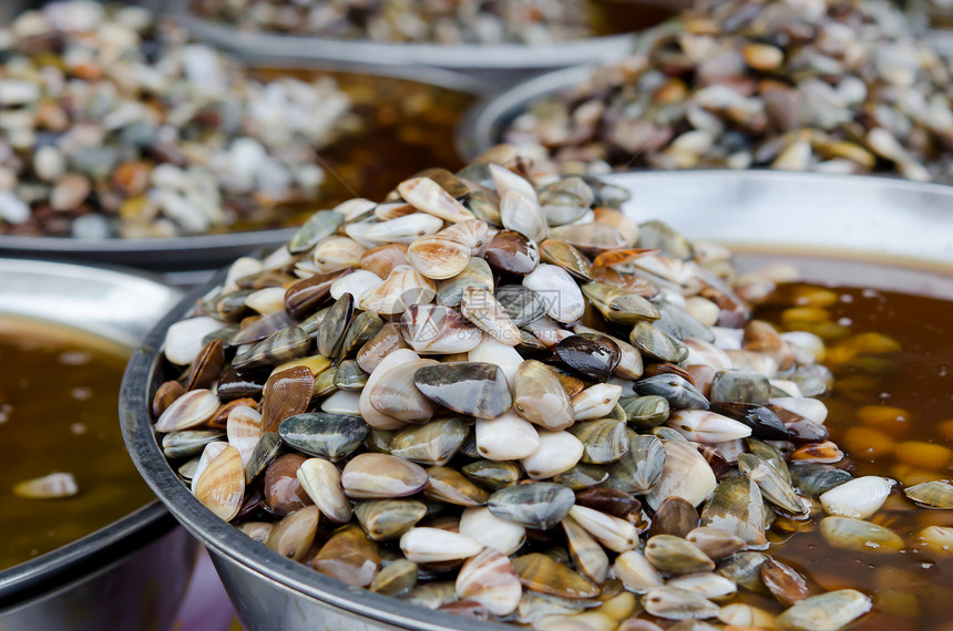 咸菜贝壳带状食物沙蚕海鲜楔壳蛏子图片