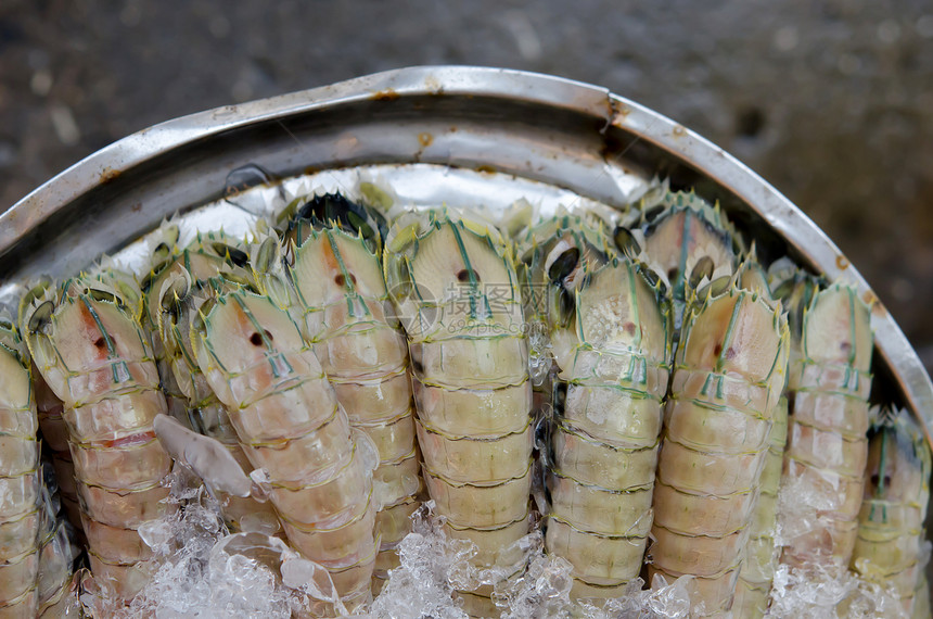 虾美食动物海鲜团体食物白色贝类甲壳口足类营养图片