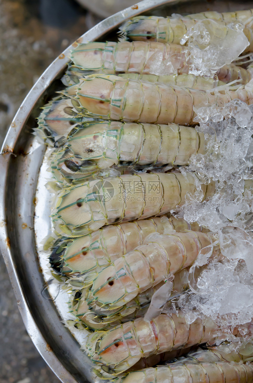 原虾甲壳团体美食贝类口足类动物营养海鲜白色食物图片