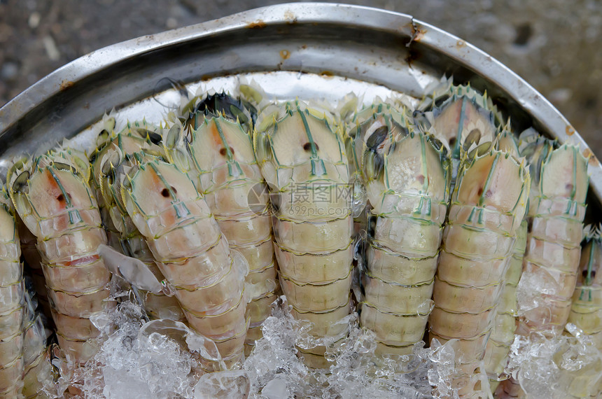 原始海产食品白色美食甲壳贝类口足类食物海鲜团体动物营养图片