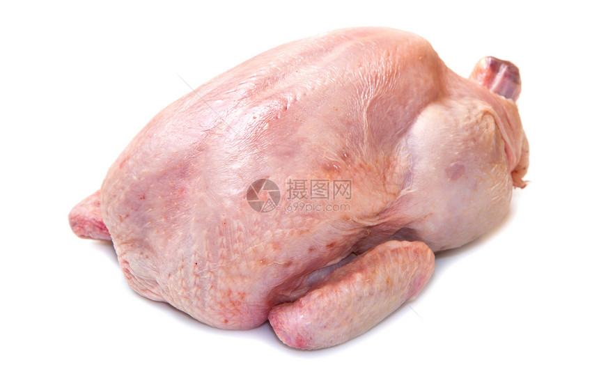 在白色背景中被孤立的鸡香料餐厅家禽饮食翅膀营养盘子母鸡烘烤农业图片