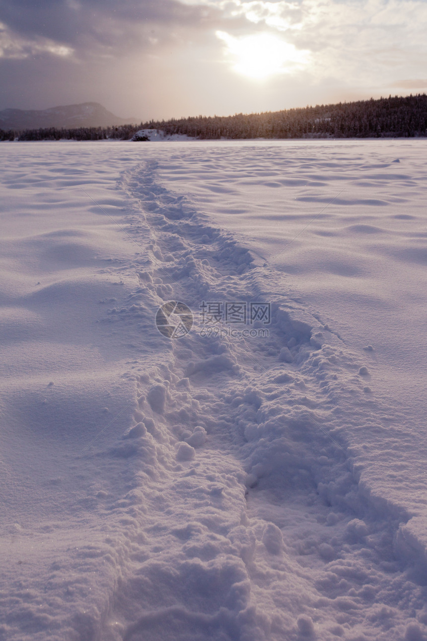 雪鞋在雪冻湖泊表面的足迹上的指纹图片