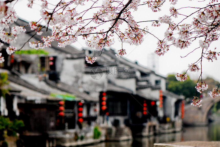 古老的Xitang村古村落居民区旅游城市民间图片