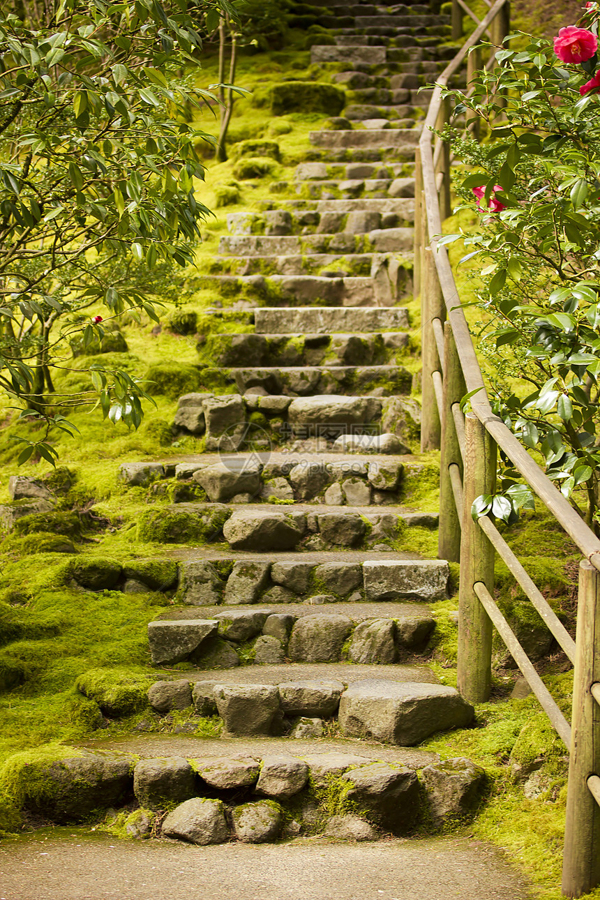 石形步骤绿化装饰园林风格岩石园艺公园花园途径脚步图片
