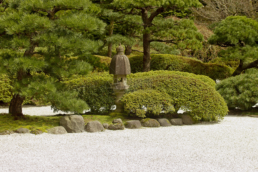 石头园佛教徒石头寺庙岩石樱花植物群花园植物艺术苔藓图片