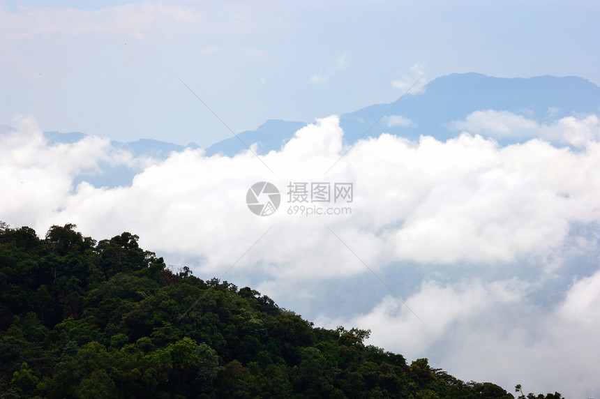 雨林的山上喷雾图片