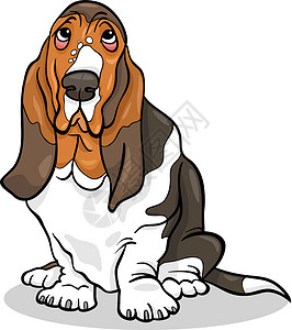 吉特Basset 猎犬狗漫画插图鼻子尾巴褶皱小狗犬类绘画猎犬卡通片宠物棕色插画