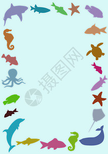 海洋框架章鱼海星插图动物海马野生动物荒野边界鲨鱼背景图片