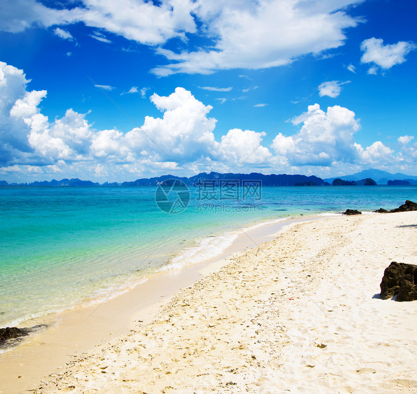 海 海冲浪阳光放松海岸海景晴天假期支撑太阳海浪图片