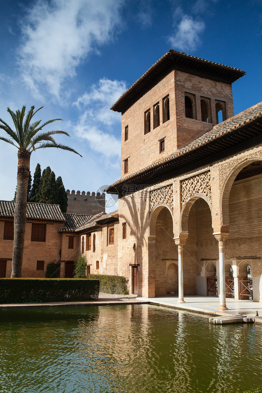 在格拉纳达的Alhambra植物旅行历史棕榈风格树木建筑女士大厦建筑学地标图片