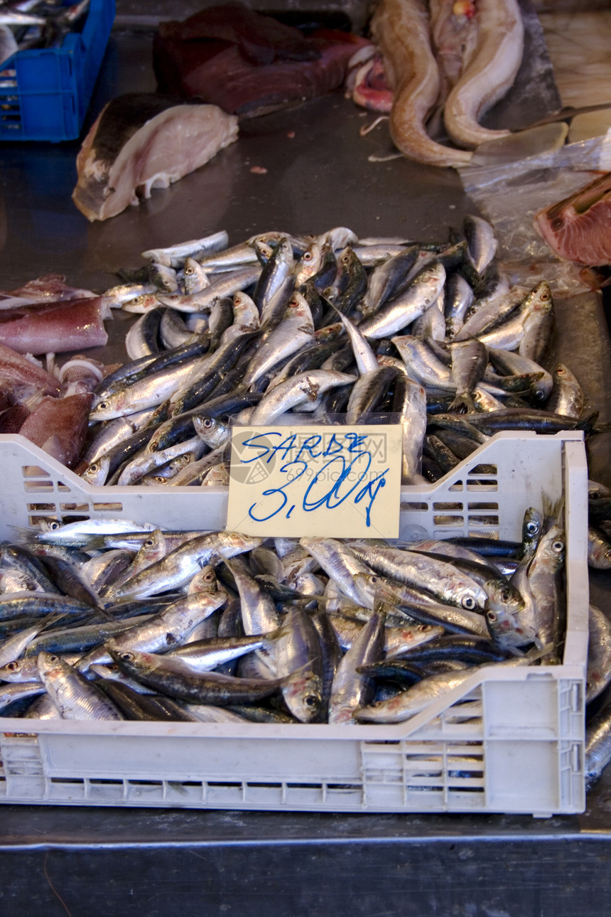 沙丁展示眼睛盒子海洋食物盘子市场海鲜图片