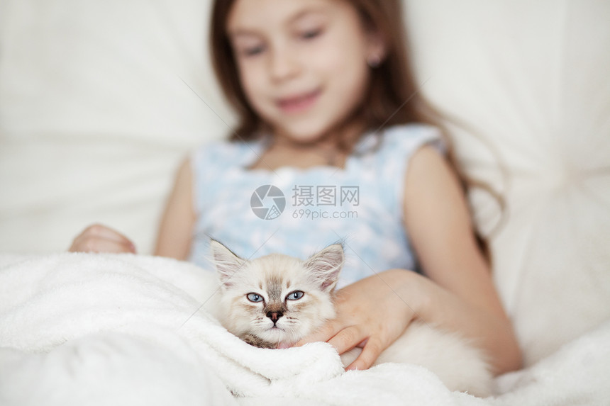 儿童及小猫毛皮动物友谊舞会猫科动物情怀女儿孩子宠物快乐图片