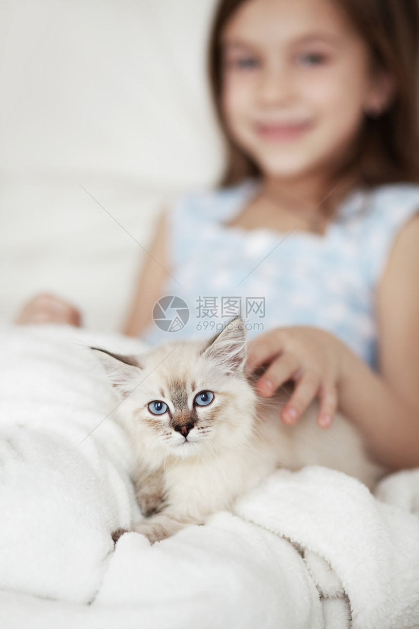 儿童及小猫友谊童年孩子毛皮女孩宠物猫咪女儿猫科动物家庭图片