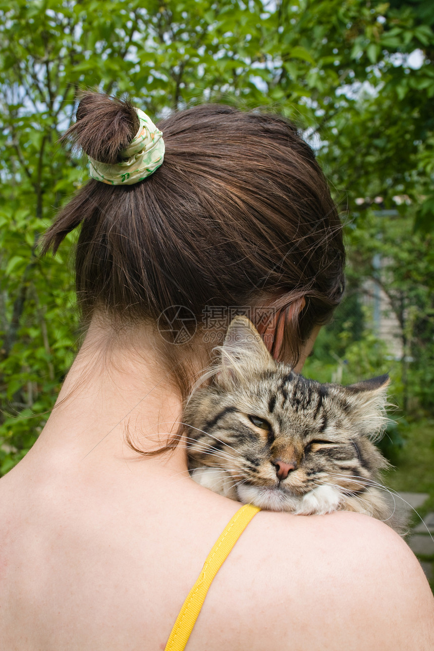 女孩和母猫阳光猫咪青少年宠物胡须毛皮太阳羊毛女士情感图片