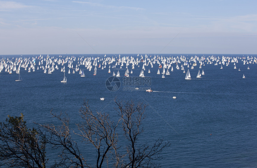 2010年巴科拉纳帆船复数天空蟒蛇优胜者分支机构微风战略蓝色海浪图片