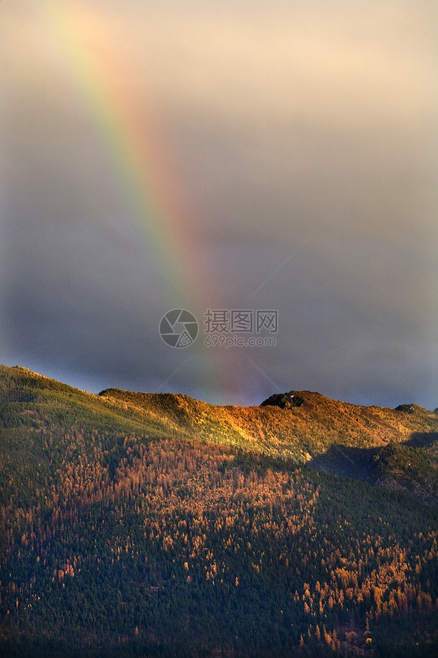 蒙大拿金彩虹黄玉塔玛拉树山瀑布图片