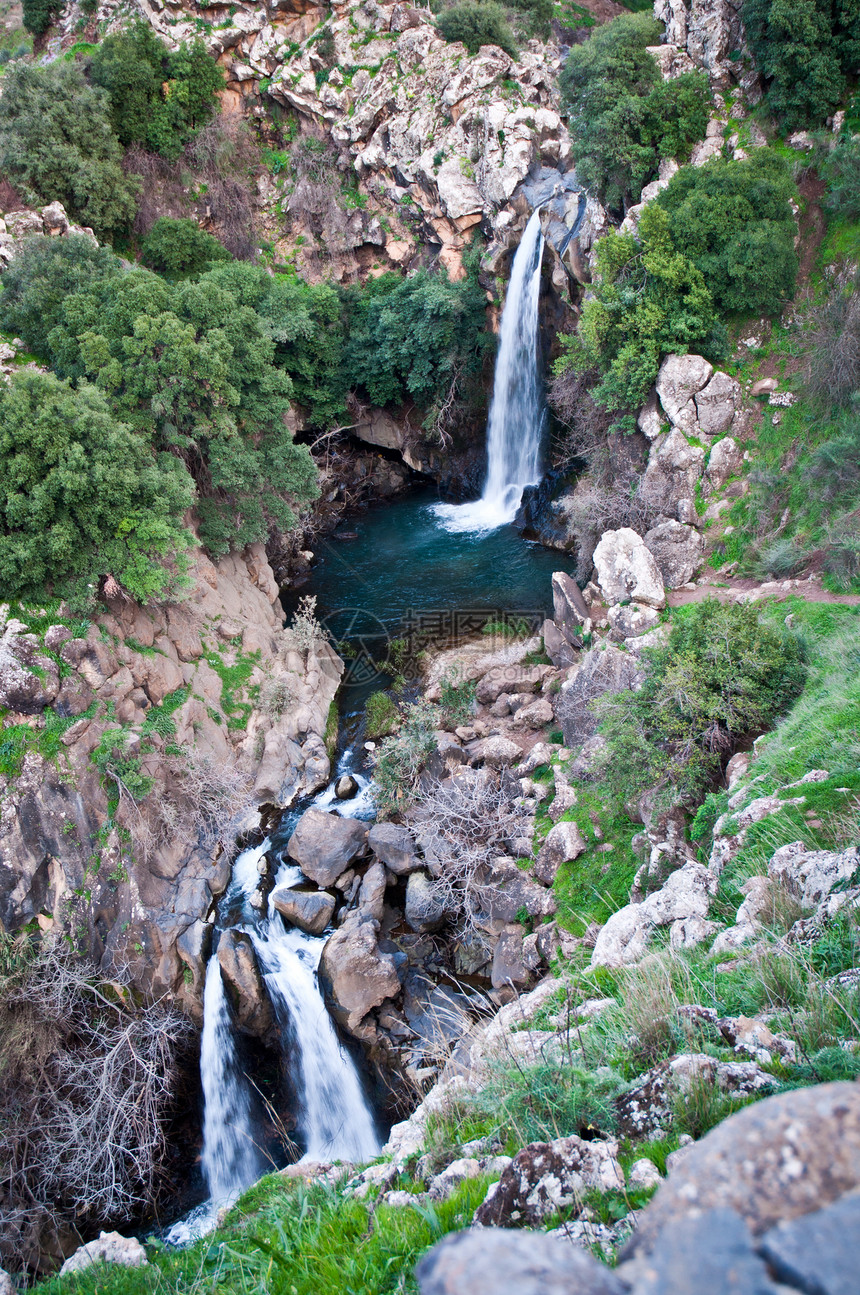 巴尼亚斯是戈兰高地的自然保护区高度旅游池塘植被悬崖溪流液体绿色植物岩石瀑布图片