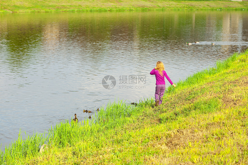 女孩看着鸭子和鸭子的鸭子孩子家庭反射后代公园游戏羽毛树木手指蓝色图片