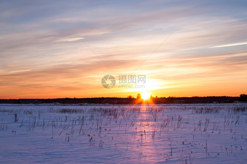 冬季地貌景观 自然构成植物场景冻结太阳芦苇蓝色稻草晴天支撑天空图片