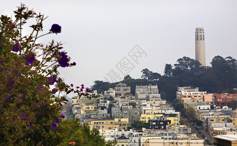 旧金山加利福尼亚州图片