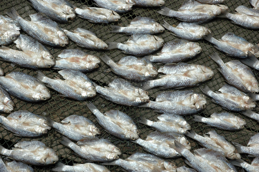 干鱼模式生产营养渔夫腌鱼零售钓鱼死亡市场烹饪尾巴图片