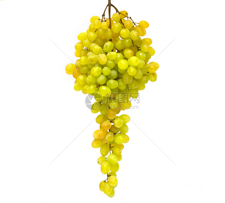 白色背景上的葡萄收成生产藤蔓食物小吃绿色甜点浆果水果饮食图片