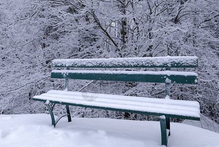 雪雪板白色树木冬天高清图片素材