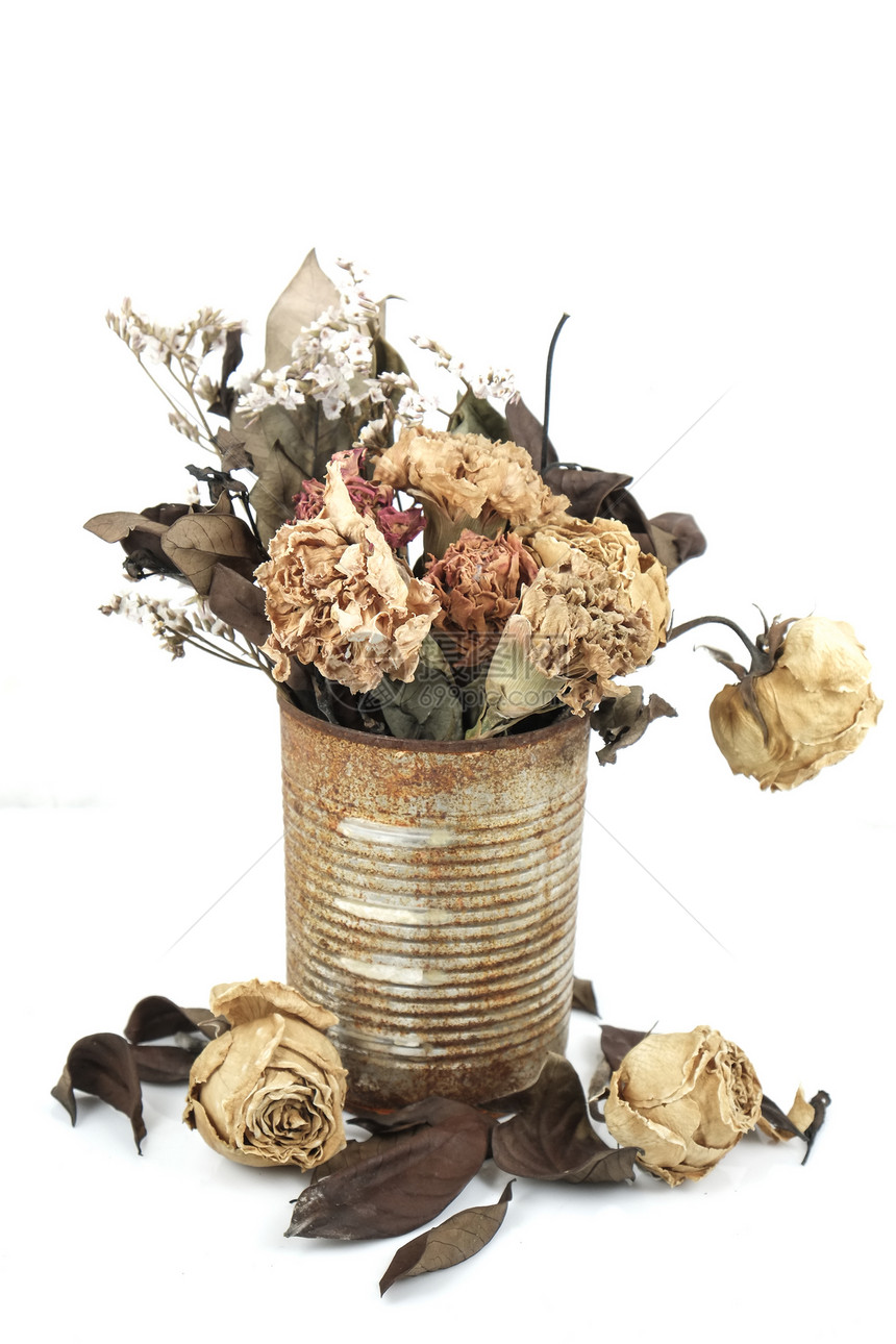 锡罐中的干花金属叶子玫瑰垃圾碎片氧化风化白色图片