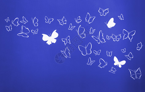 白色圆光影飞翔的蝴蝶背景团体墙纸材料飞行背景图片