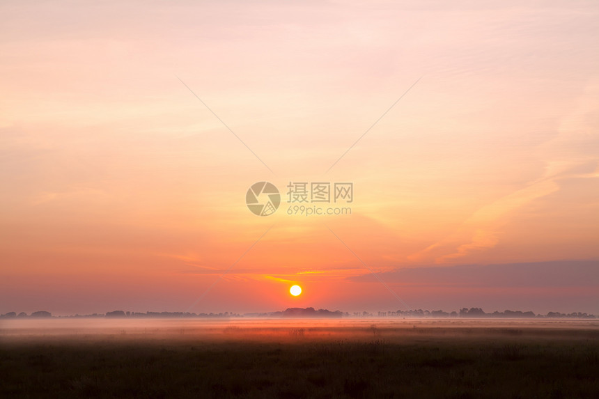 日出在草原上的雾中图片