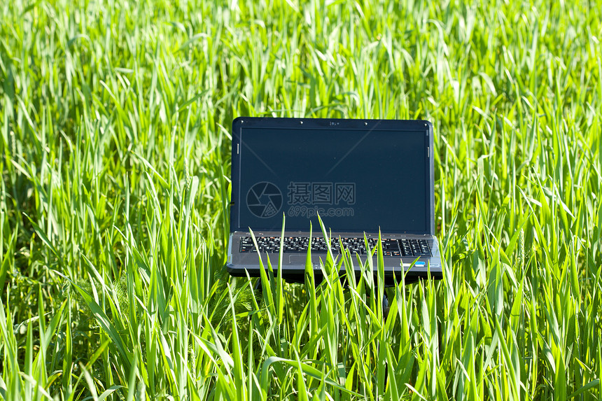 绿色笔记本电脑绿草窗户叶子环境公园机动性展示教育自由办公室屏幕图片