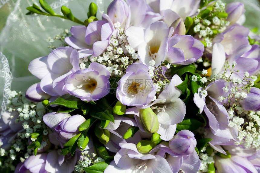 结婚礼花的背景背景草地花束花瓣已婚玫瑰婚礼萼片裙子家庭农业图片