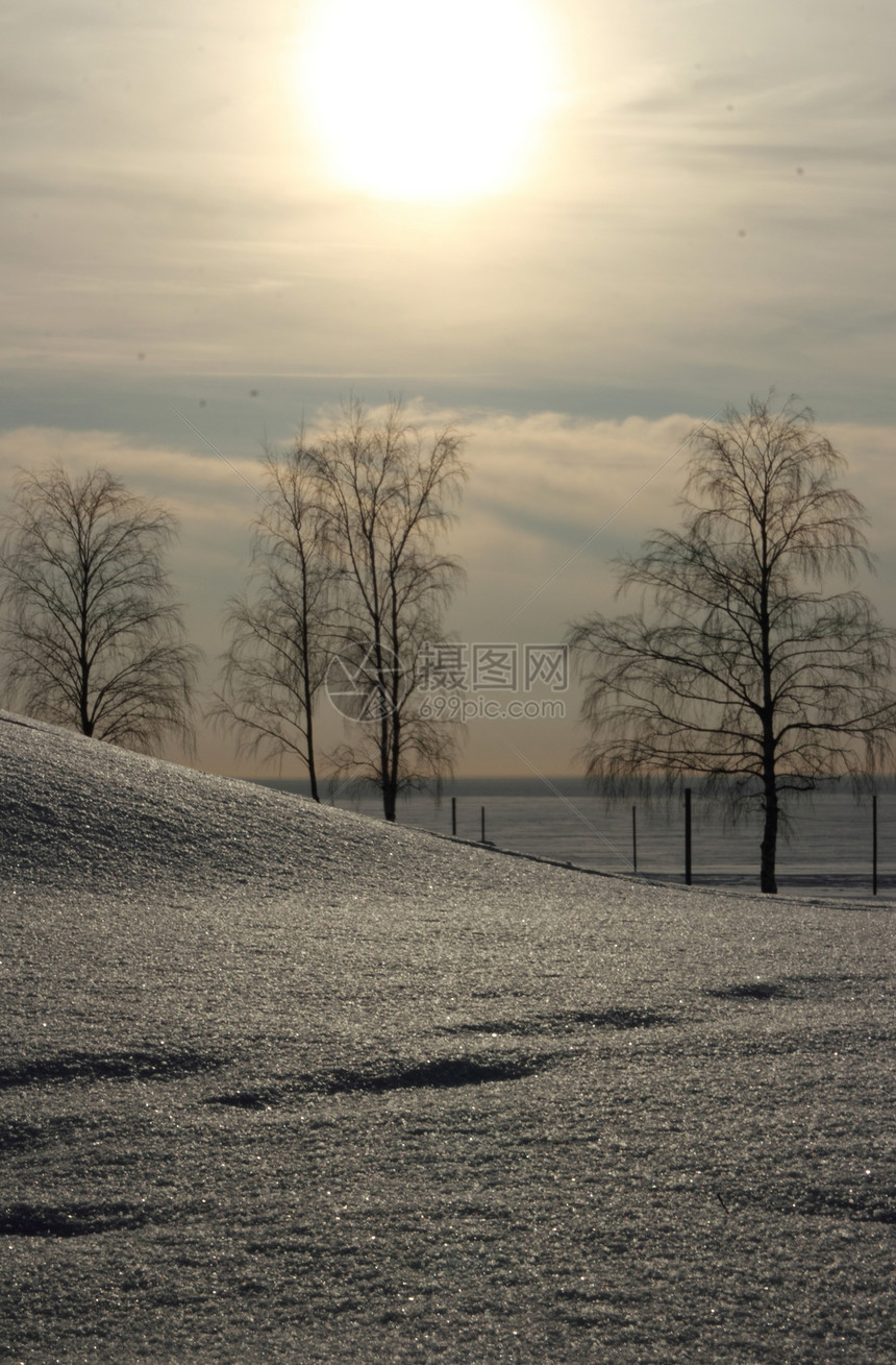 风景冬季海滩森林太阳天空阳光海景大雪浮冰日落天气场景图片