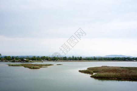 伊索拉迪耶拉锥形植被自然保护区废墟小马湿地高清图片