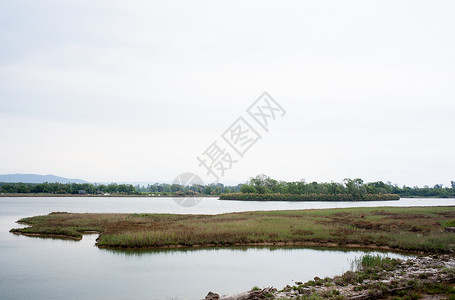 拉鲁湿地伊索拉迪耶拉锥形自然保护区湿地小马废墟植被背景
