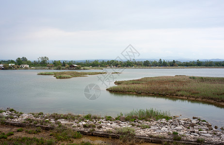 伊索拉迪耶拉锥形废墟植被自然保护区湿地小马高清图片